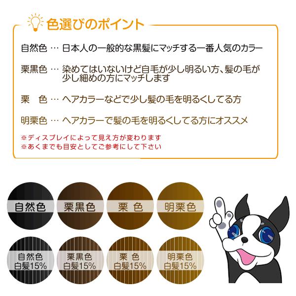 【ポイント10％中6/7まで】【リピーターパック】ヘアーインプラントEX Ｍ字部用ＢＩＧの画像