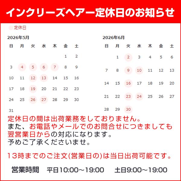 【ポイント10％中6/7まで】【リピーターパック】ヘアーインプラントEX Ｍ字部用の画像