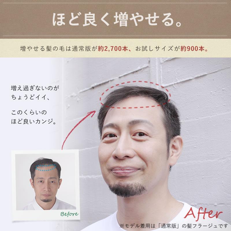 【ポイント10％中6/7まで】【リピーターパック】髪フラージュ　カミフラージュ　KAMIFLAGE　セルフ増毛　貼る増毛　生え際の画像