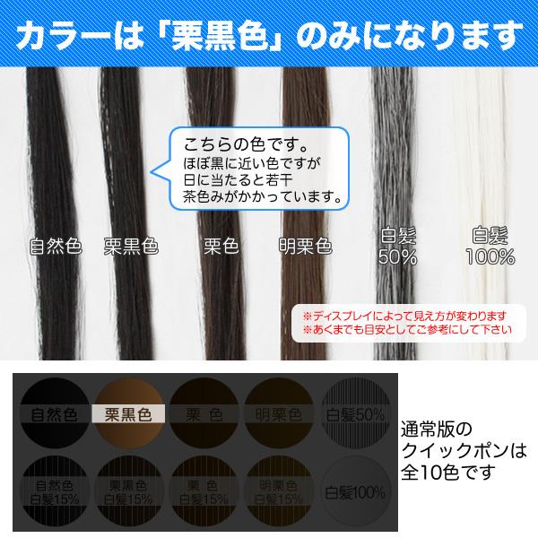 全品10％中9/17まで】クイックPON(お試し5本入り) かつら男性用 男女