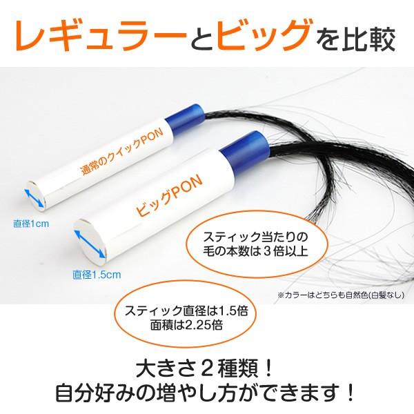 オリジナル10％中9/25まで】クイックPON(お試し5本入り) かつら男性用