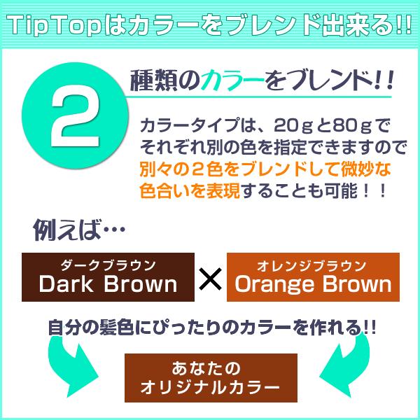 増毛パウダーふりかけ TipTop 100gセット ティップトップ 薄毛隠し
