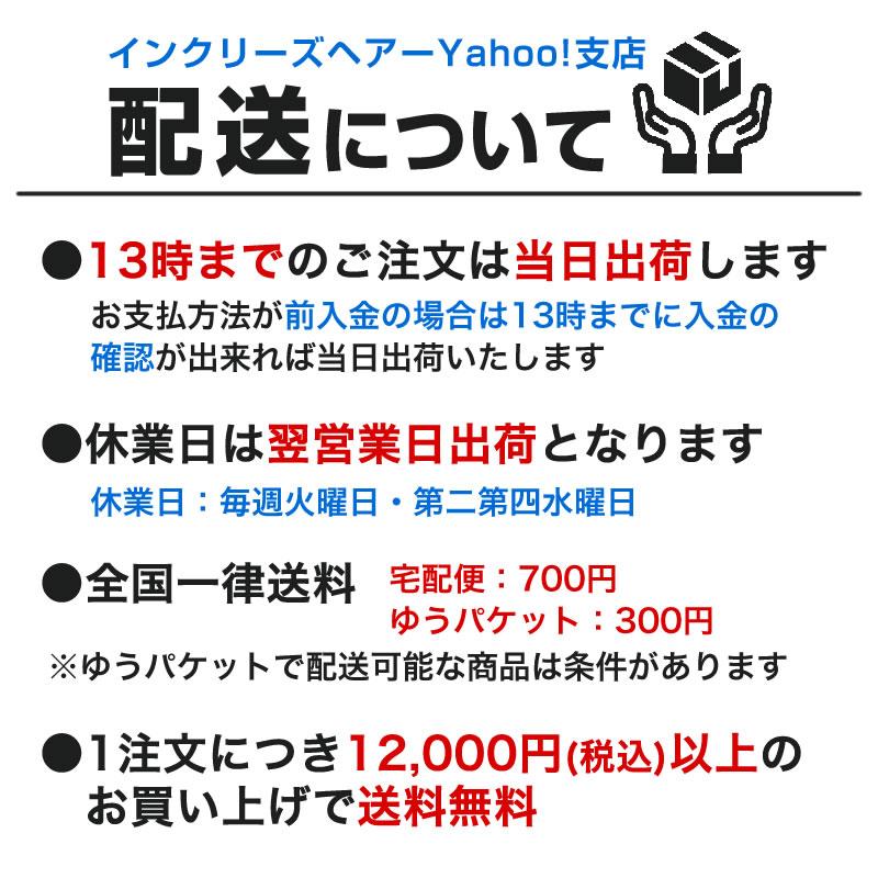 ポイント10％中8/25まで】増毛パウダーふりかけ TipTop プッシュタイプ