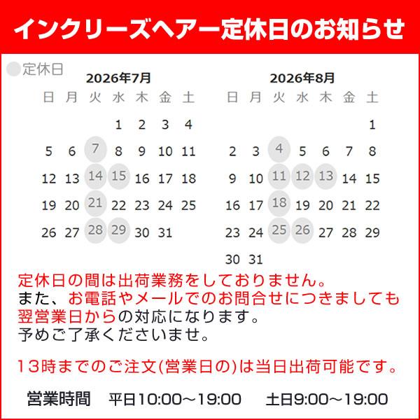 ポイント10％中8/25まで】増毛パウダーふりかけ TipTop プッシュタイプ