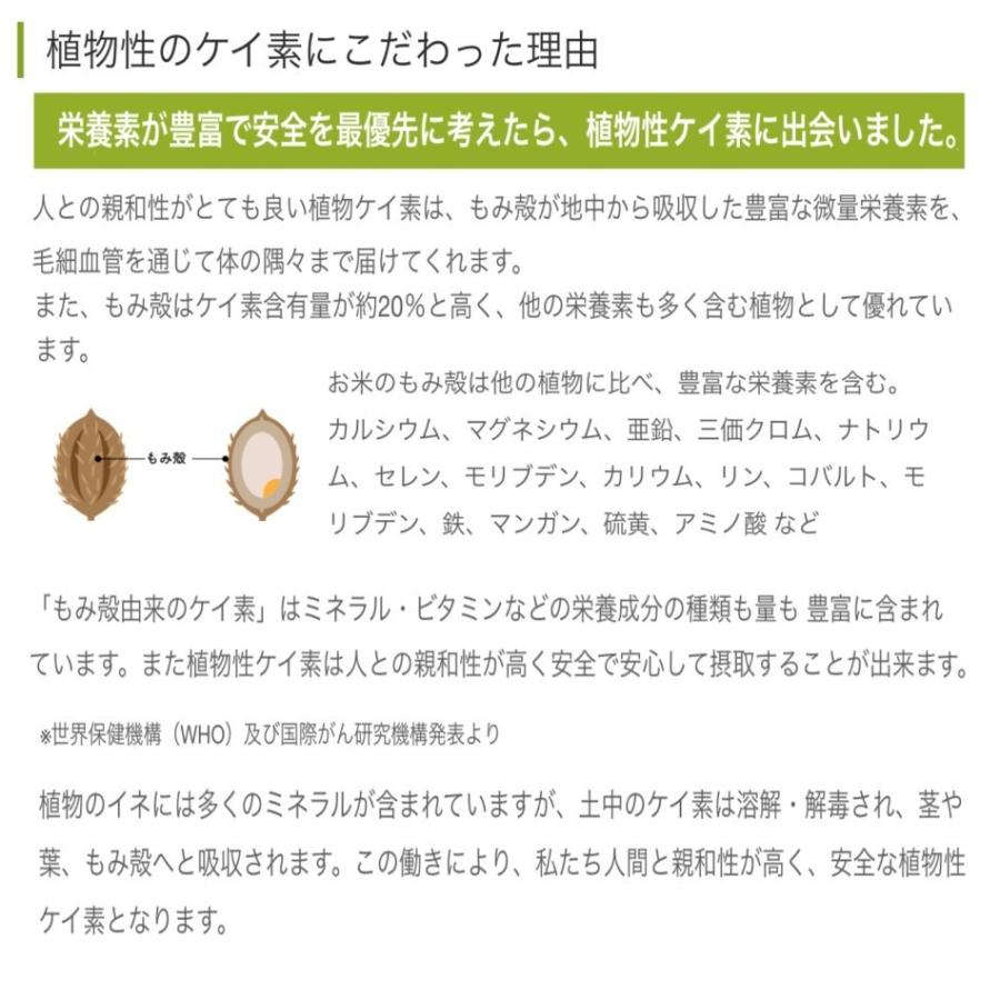 ポイント5倍 ライスシリカ Rice 水溶性 脂肪 糖尿病 美容 50g Cilica 認定販売店