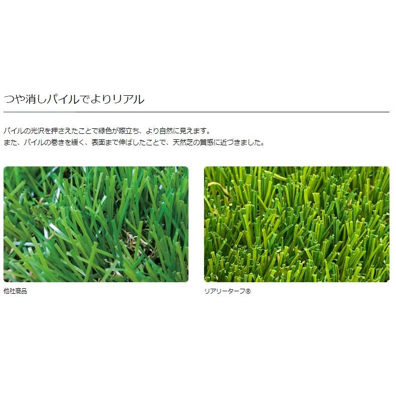 GreenField（グリーンフィールド） リアリーターフ 人工芝 R6