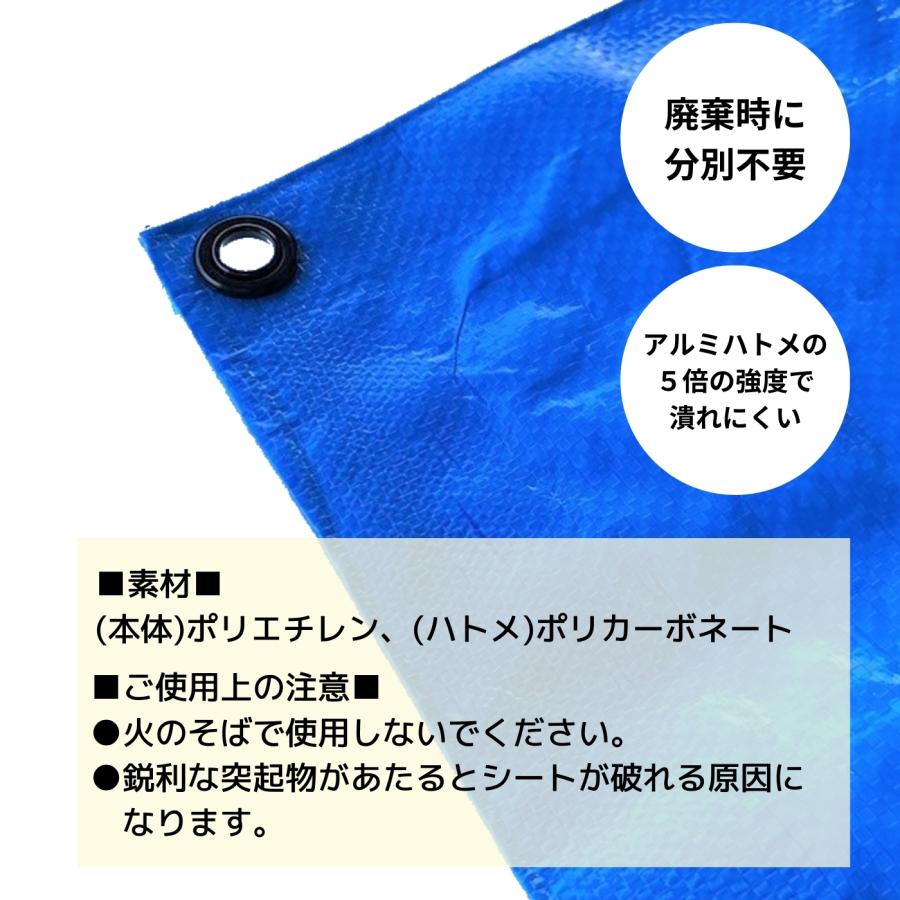 ブルーネット 406351-previewer.jpg