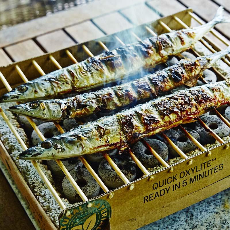 CASUSGRILL クラフトグリル 使い捨てグリル バーベキュー 5分で着火