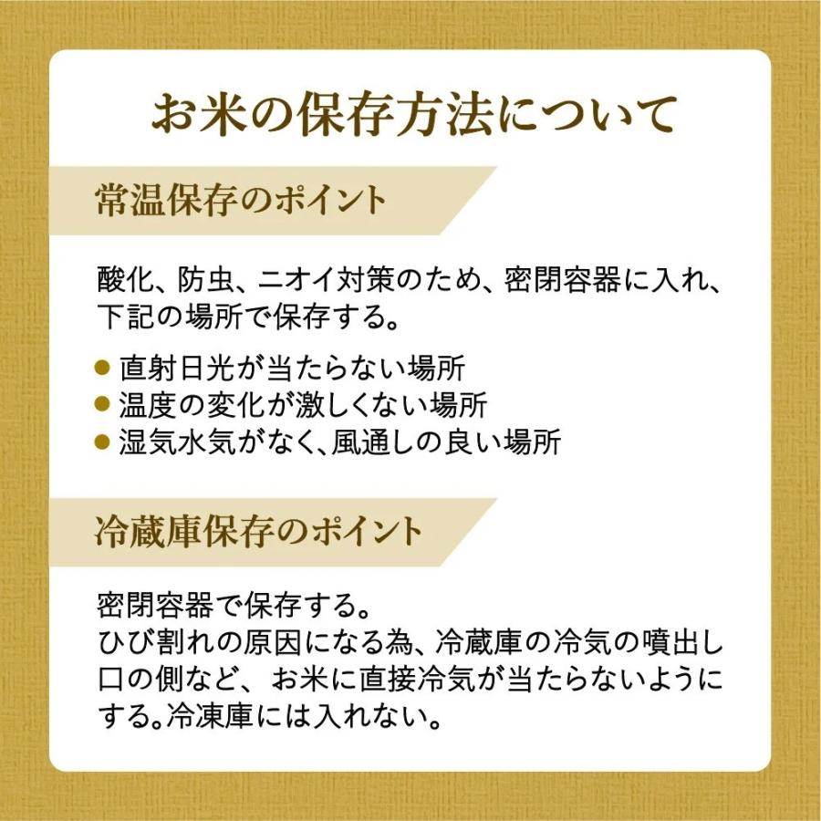 お米 さがびより 令和3年産 新米 精米 10kg 15kg 20kg 佐賀県産 産地