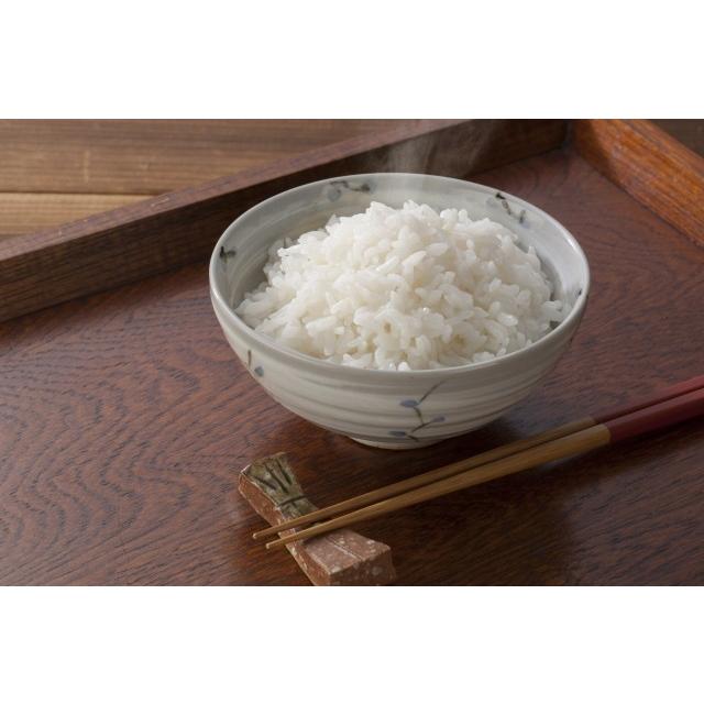 お米 さがびより 令和3年産 新米 精米 10kg 15kg 20kg 佐賀県産 産地