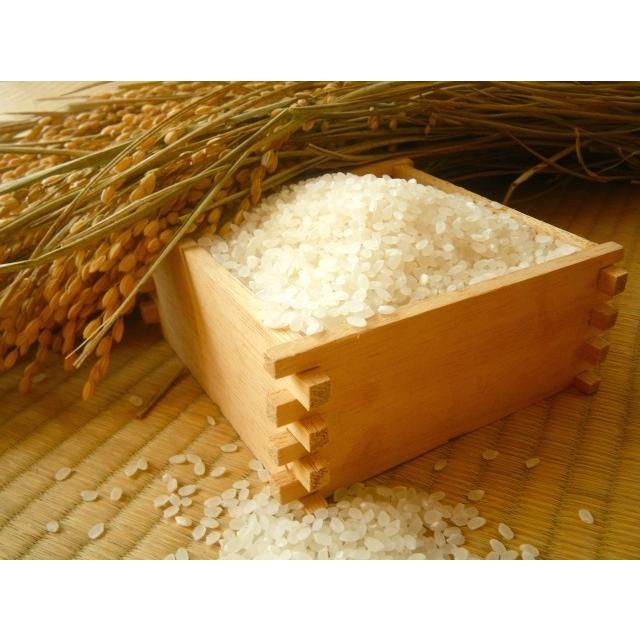 お米 さがびより 令和3年産 新米 精米 10kg 15kg 20kg 佐賀県産 産地