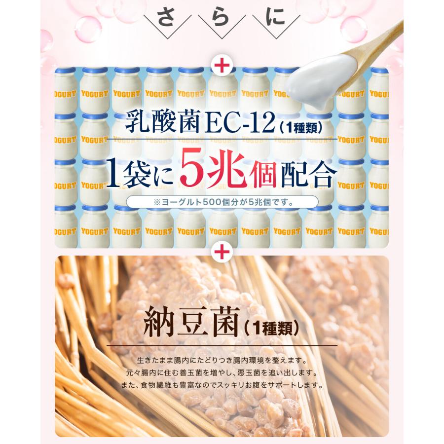 クレンズ革命 3ヵ月分 5兆個の善玉菌 乳酸菌 ダイエット サポートサプリ 腸内フローラ｜indigotable｜07