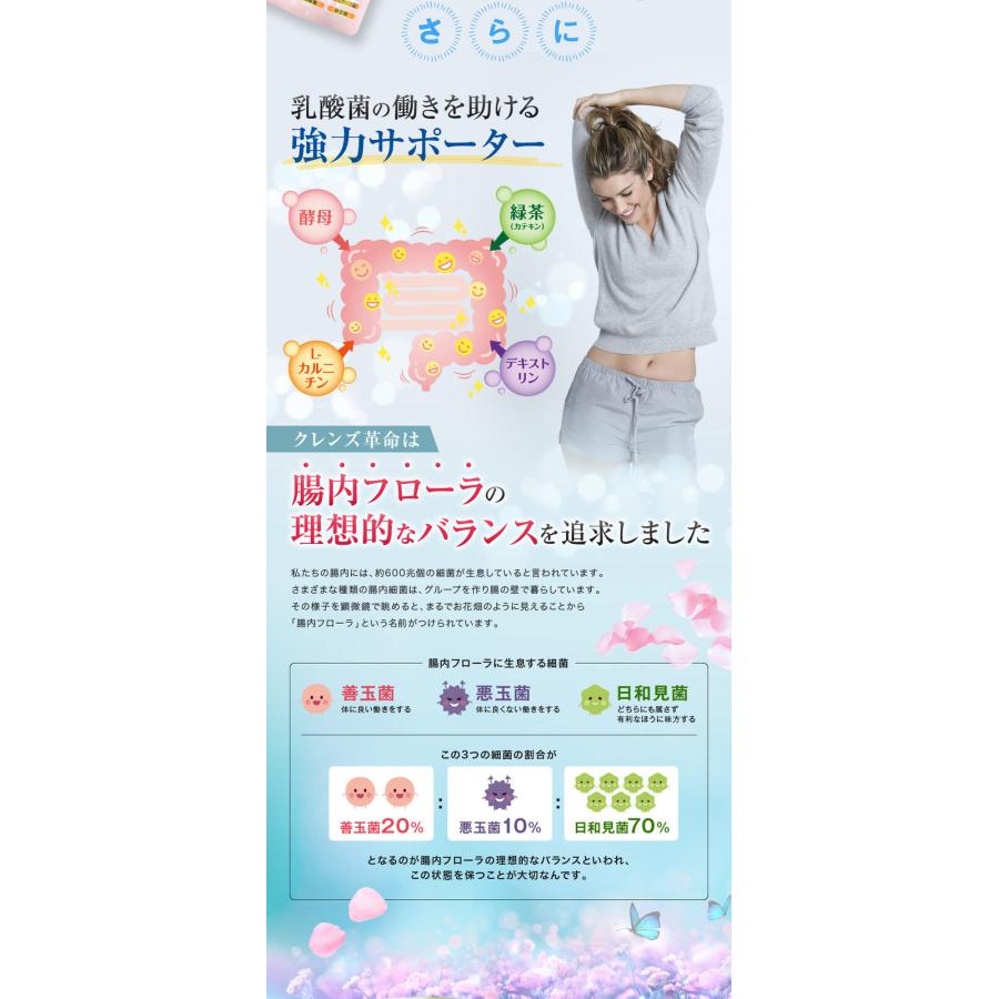 クレンズ革命 3ヵ月分 5兆個の善玉菌 乳酸菌 ダイエット サポートサプリ 腸内フローラ｜indigotable｜09