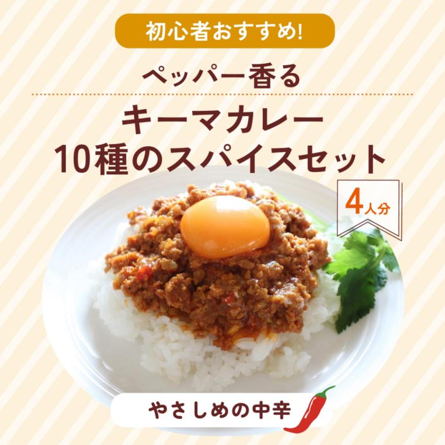 送料無料】スパイスカレー初心者おすすめ 人気商品 7点セット : 印度