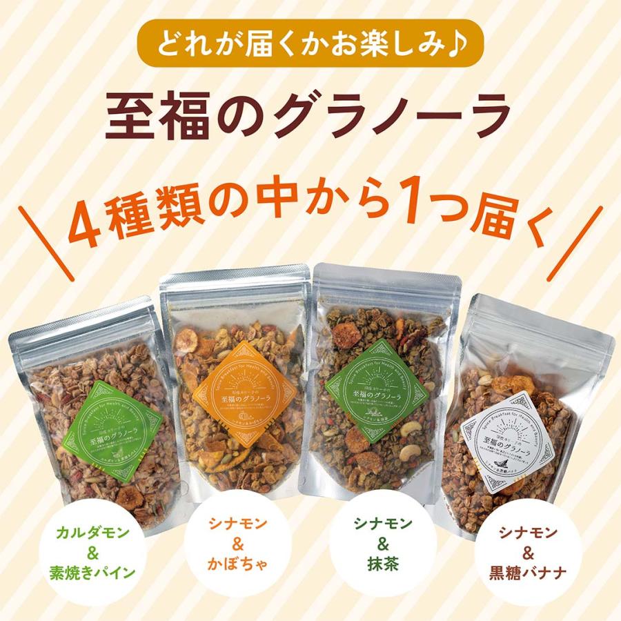 【完売御礼】印度カリー子のわくわく♪福袋 スパイスカレー & ビリヤニ 13点セット | マサラチャイ タンドリーチキン 至福のグラノーラ |  | 12