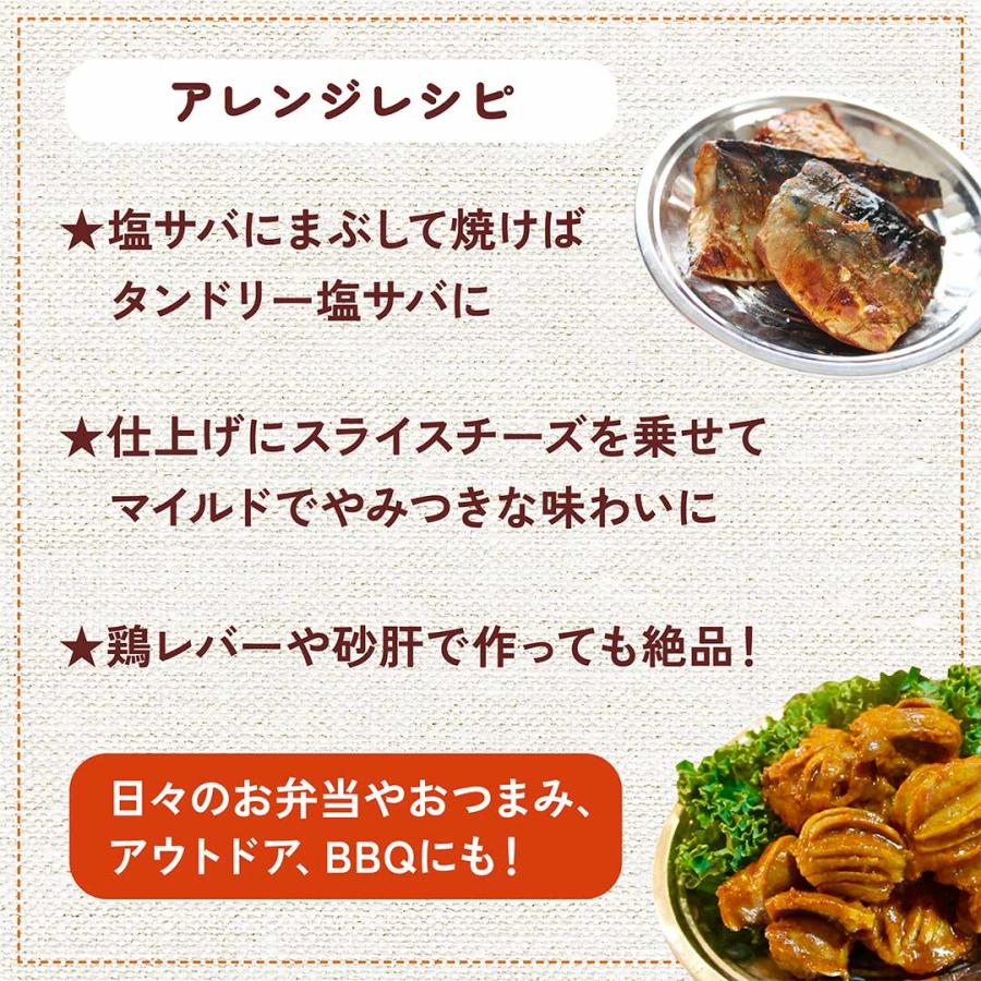 【おとくな3倍量】タンドリーチキン 10種のスパイスMIX 大パック｜ 無添加・ 無着色料　チャック付き袋 |  | 06