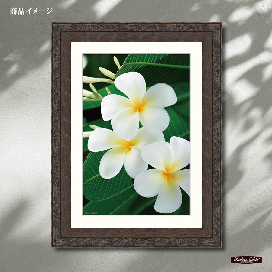 インドラサクティ バリアート 014 Plumeria Cl M プルメリア 訳あり