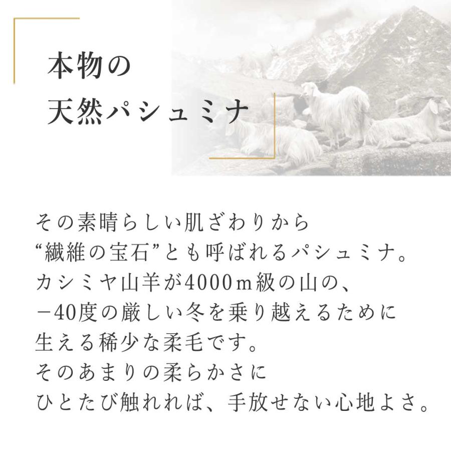 InDream パシュミナ カラムカリ 刺繍 ショール ［100cmx200cm］ ベージュ  ストール 大判 ショール カシミヤ 100% 春 秋 |  | 03