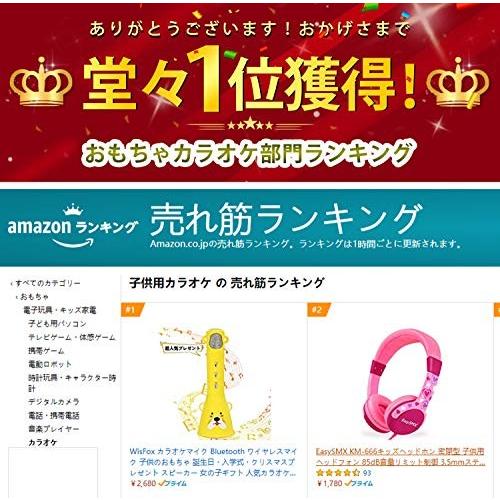 Wisfox カラオケマイク Bluetooth ワイヤレスマイク 子供のおもちゃ 誕生日 入学式 クリスマスプレゼント スピー Rkg Infeed One 通販 Yahoo ショッピング