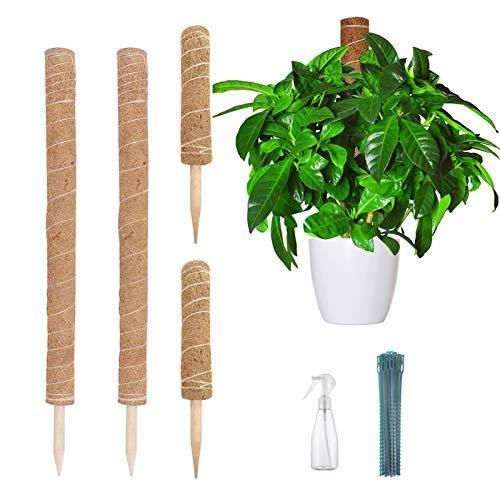園芸支柱 植物サポート ココナッツ支柱 観葉支柱 水分維持 頑丈 使いやすい 延長可能デザイン