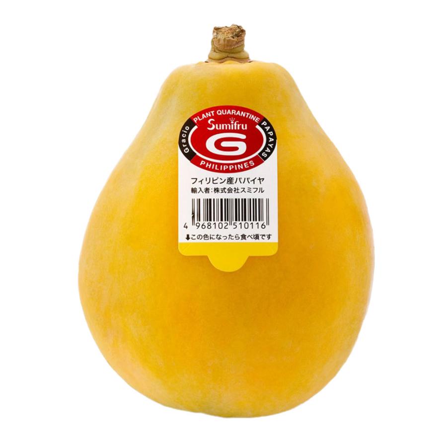 無農薬 青パパイヤ 2kg（約2〜4玉）沖縄産 宮古島から産地直送