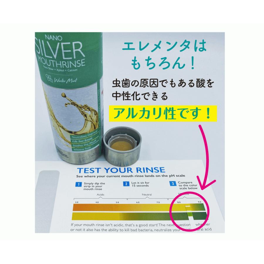 エレメンタ ナノシルバー マウスリンス アルカリ性 化学薬品不使用 オーラルケア トラベルボトル 89ml (ウィンターミント) |  | 05