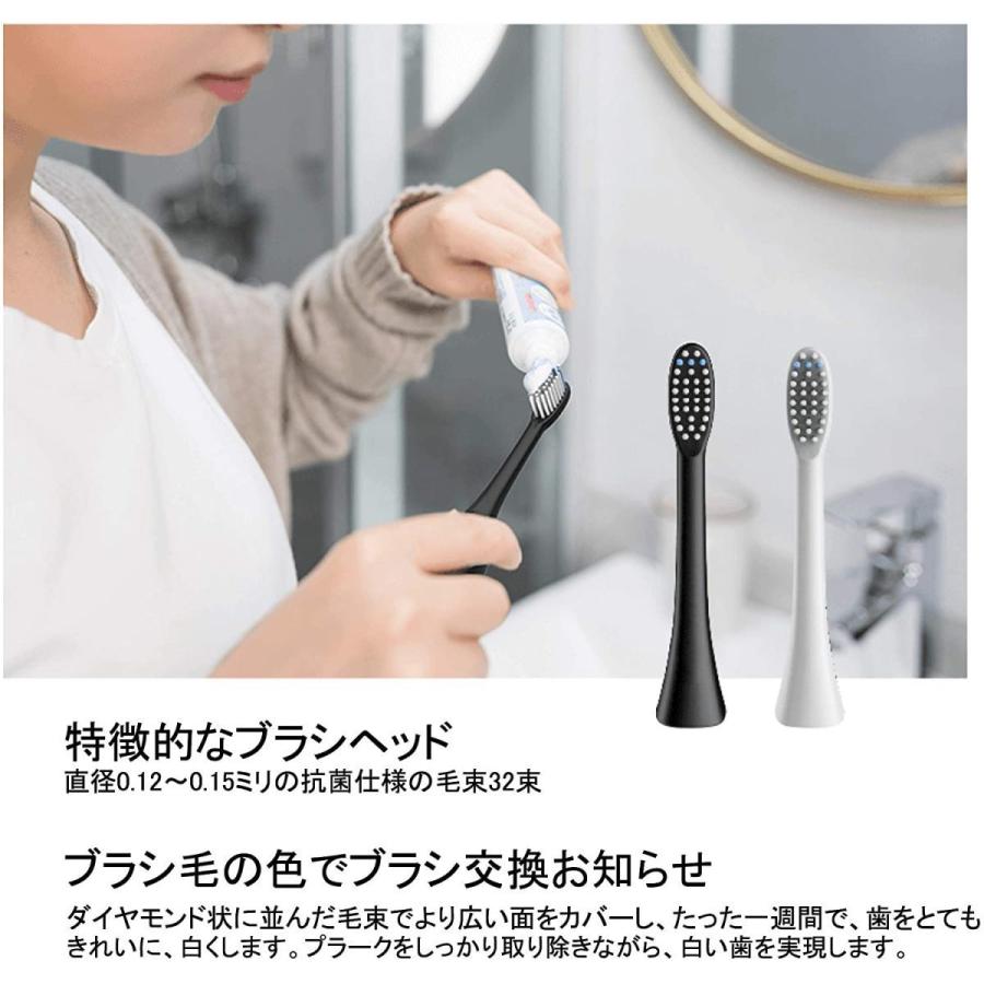 InfinitusValue インフィニタスバリュー スマートトラッキング電動歯ブラシ 専用替えブラシ ブラック 2本組  IVHB01BBR2 |  | 01
