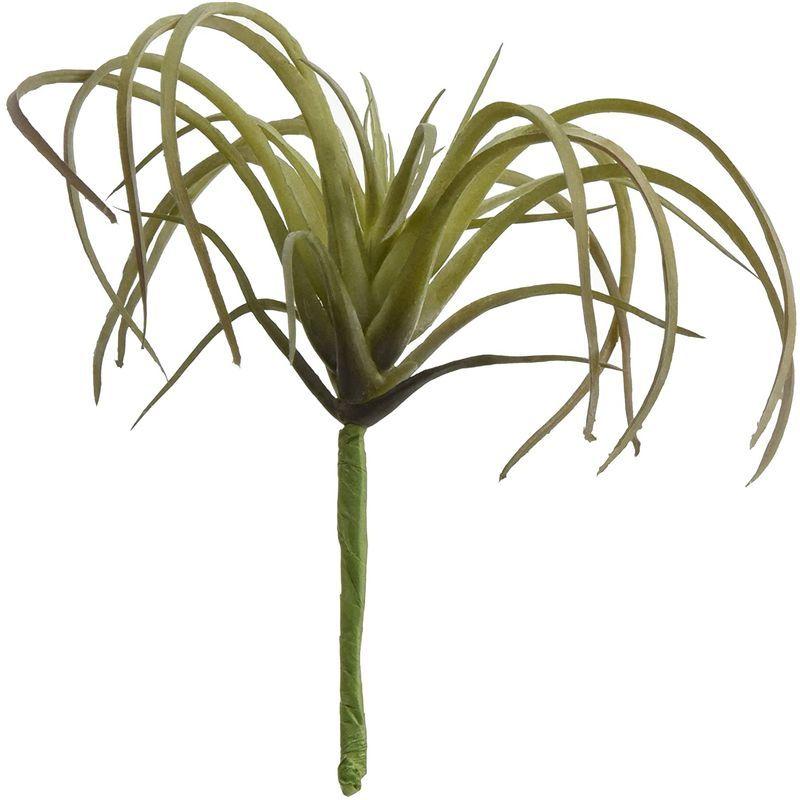 Magiq 東京堂 上質な 造花 Pk 激安通販販売 エアプランツ Gr Fg 025