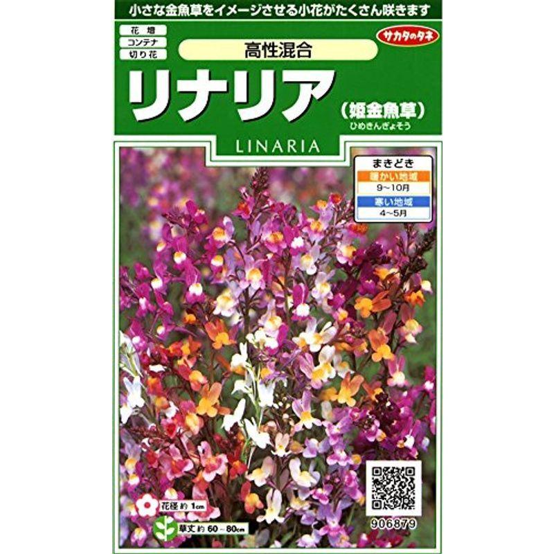 サカタのタネ 実咲花6879 リナリア 姫金魚草 高性混合 超美品の