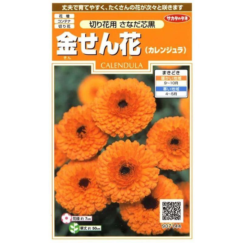 限定販売 サカタのタネ 実咲花7144 金せん花 切り花用さなだ芯黒 Ryctel Com