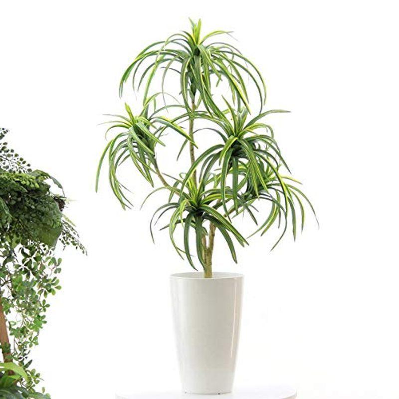プレミアム光触媒 フェイクグリーン 人工 造花 観葉植物 観葉樹 空気清浄 人気 リアル ドラセナ コンシンネ 5枝 70cm 白丸ポット 柿の種 Www Geminicorp Be