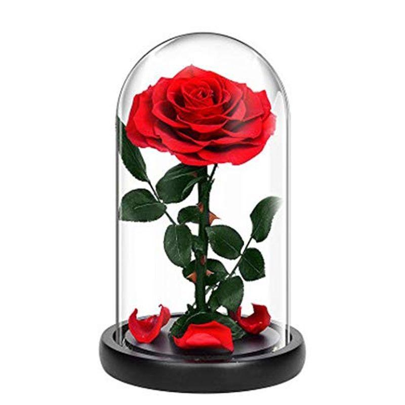 オリジナル 59％以上節約 プリザーブドフラワー バラ レッドローズ 薔薇 花 可愛い ガラスドーム LEDライト付き 木製ベース ブリザードフラワー ロマンティック makru.de makru.de
