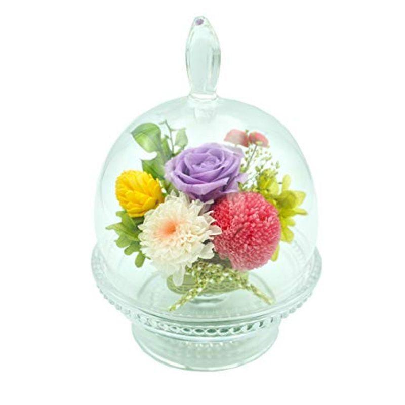 Lagom プリザーブドフラワー 鈴華 お供え お盆 お彼岸 ドーム型 長持ち 枯れない花 インテリア 仏壇用 お悔み 仏花 盆 敬老 正月 柿の種 Www Bollywoodpapa Com