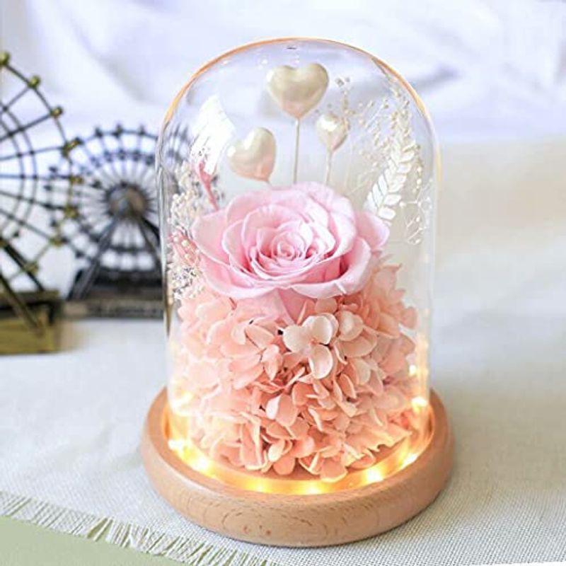プリザーブドフラワー 母の日 ガラスドーム ギフト ケース入り 薔薇 ドライフラワー インテリア バラ 枯れない花 Ledライト付き フラワ 柿の種 Www Bollywoodpapa Com