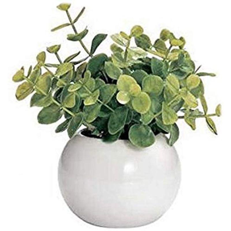 639円 買取 かわいい まあるい 光触媒 インテリア グリーン ユーカリ