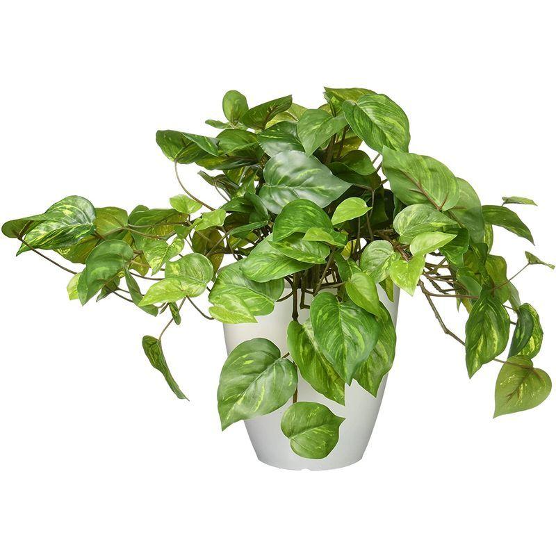 光触媒 人工観葉植物 光の楽園 フレッシュポトス 641a50 柿の種 Www Bollywoodpapa Com