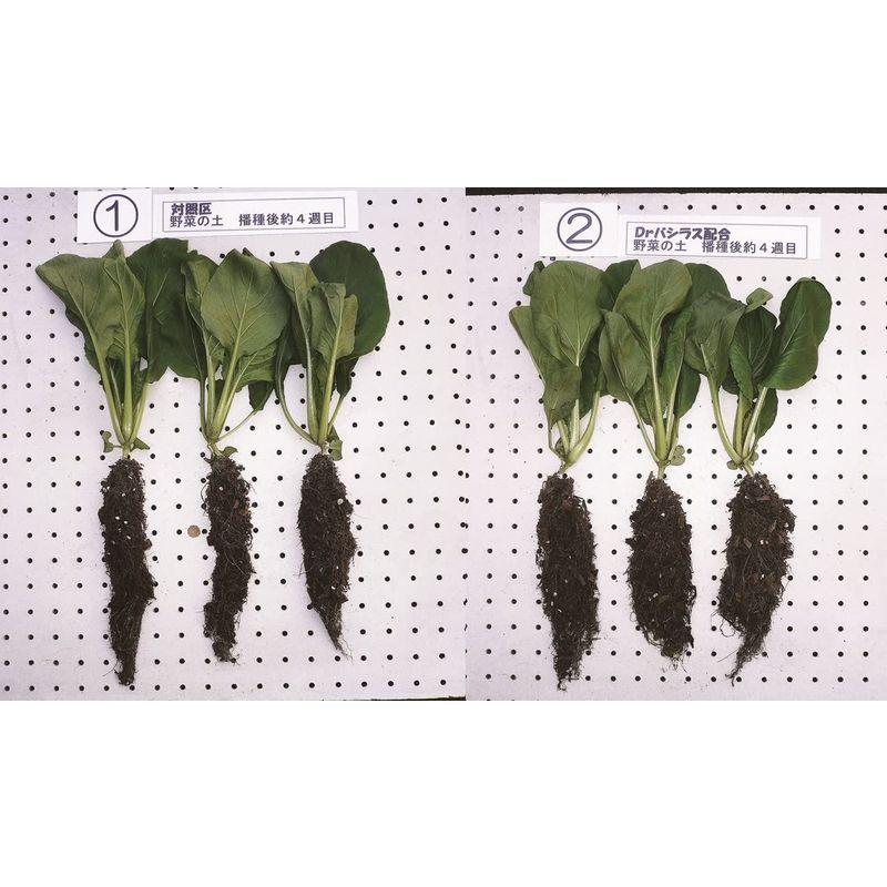 日本限定 グリーンプラン 培養土 野菜自慢25l 園芸用土 Www We Job Com