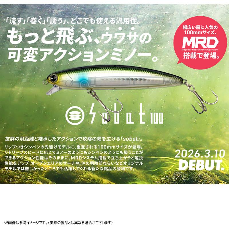 ima（アイマ） 【ご予約商品】○アイマ ソバット 100 【メール便配送可