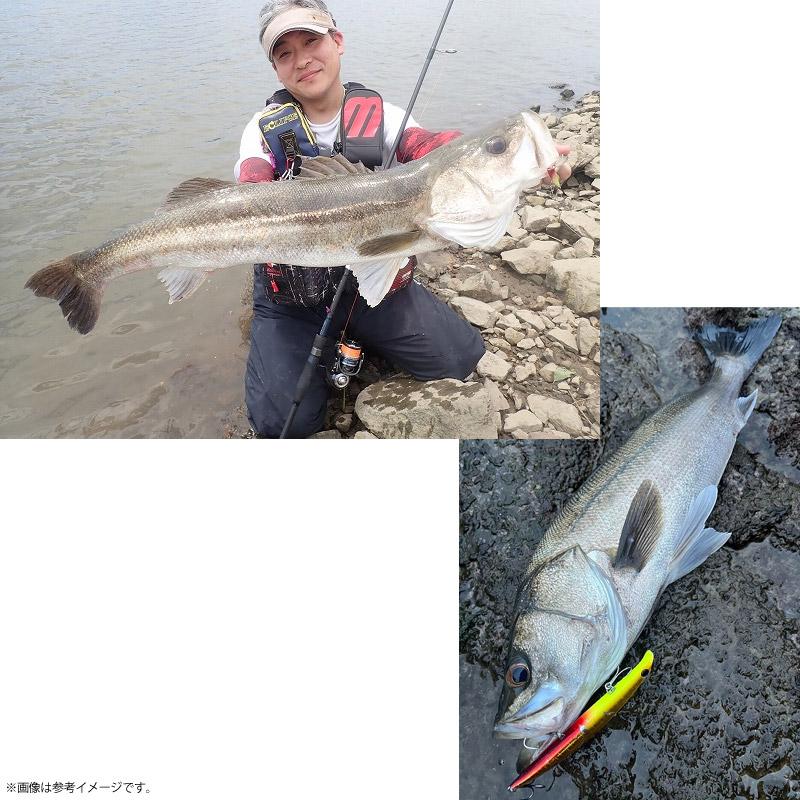 ECLIPSE ○エクリプス ECLIPS アクシアトラック シーバス ATSS-88MLL