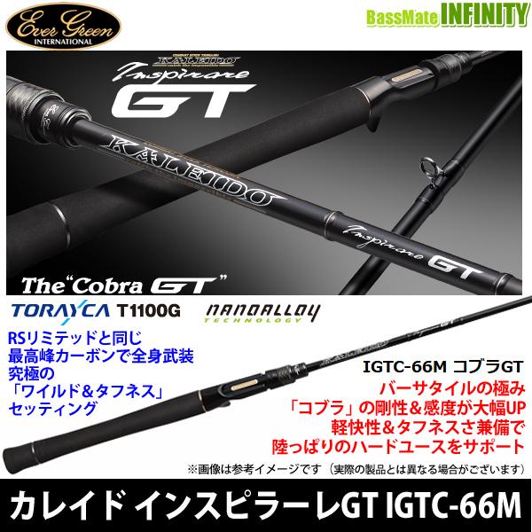 テムジン・カレイド ○エバーグリーン EVERGREEN カレイド イン