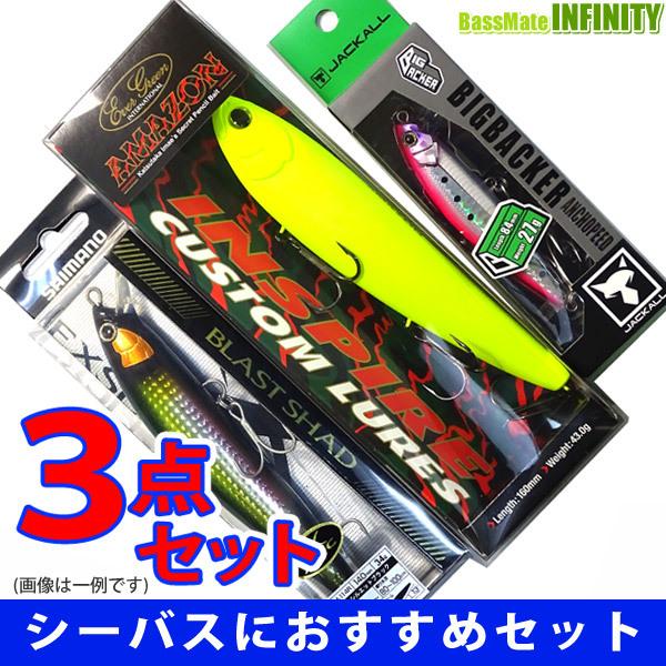 エバーグリーン アマゾン入り シーバス人気ルアー3点セット 5 春新作の まとめ送料割