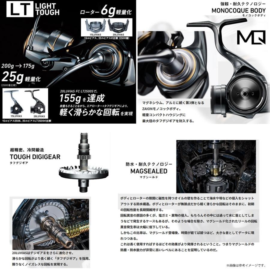 DAIWA（ダイワ） 【在庫限定47％OFF】ダイワ 20 ルビアス FC LT2000S