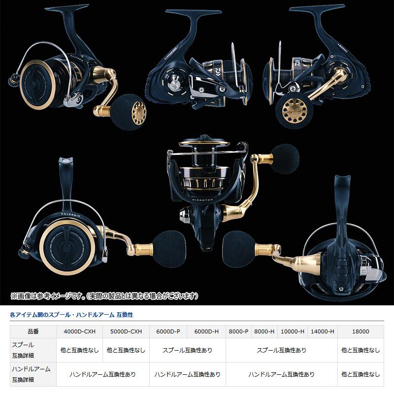 DAIWA（ダイワ） ○ダイワ 23 BG SW 8000-P 【まとめ送料割】 : バス