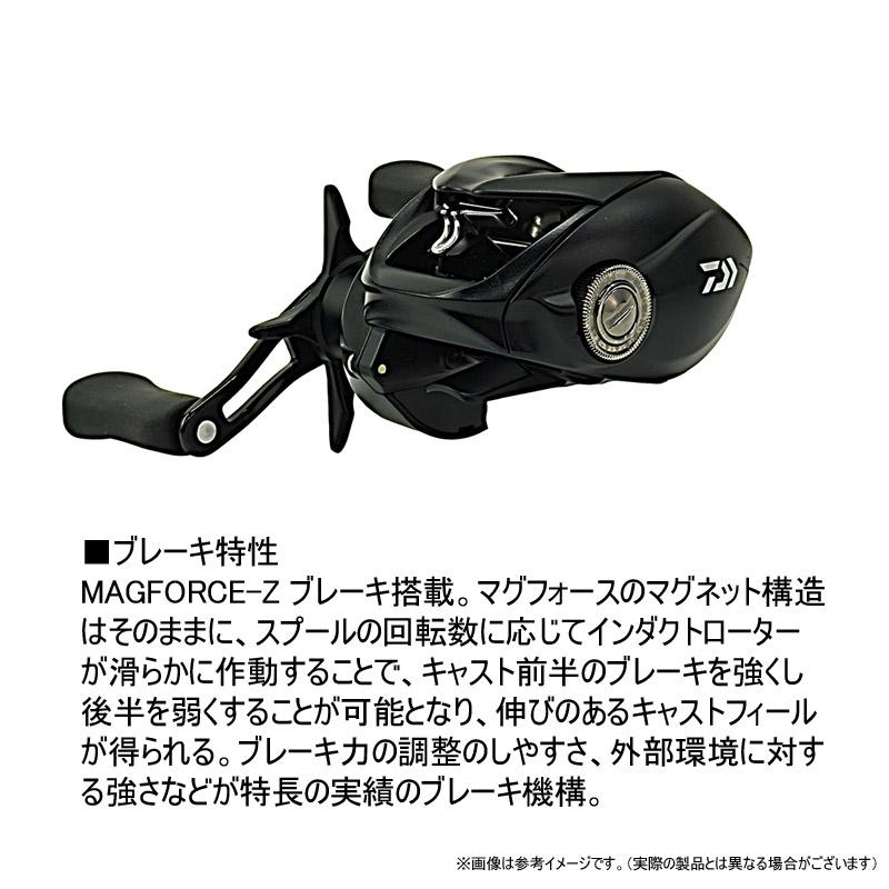 DAIWA（ダイワ） ○ダイワ 24 タトゥーラ TATULA TW 100 (右ハンドル