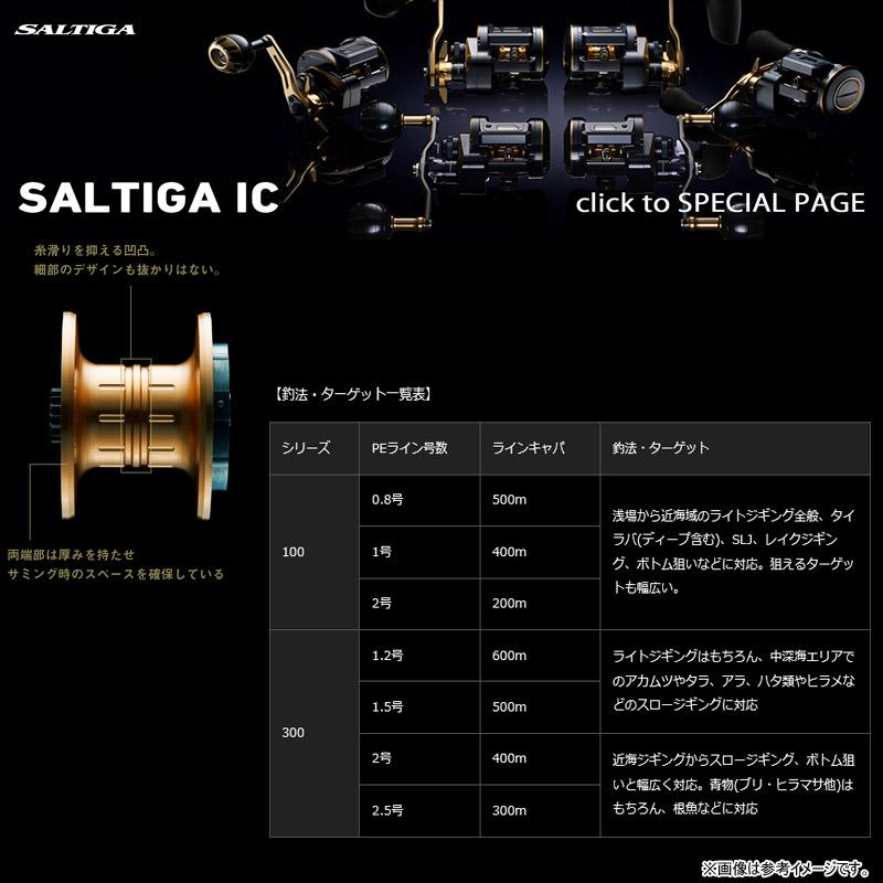 DAIWA（ダイワ） ○ダイワ 21 ソルティガ IC 300H-SJ (右ハンドル