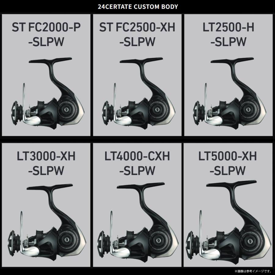 DAIWA（釣り） ダイワ SLPワークス 24 セルテート カスタムボディ