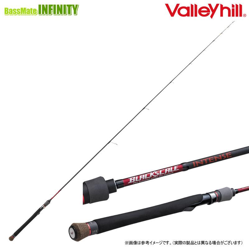 ○バレーヒル ブラックスケール インテンス BKTS-68LXS : バスメイト