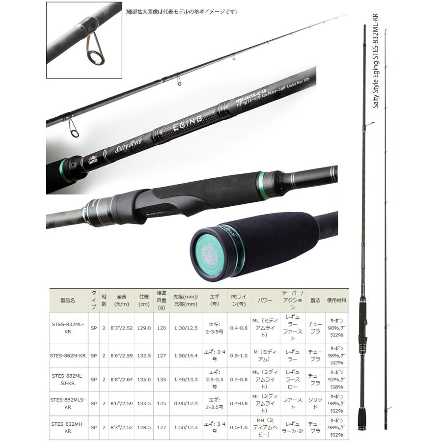 Abu Garcia（アブガルシア） ○アブガルシア ソルティースタイル