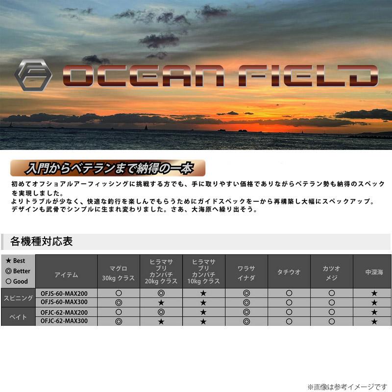 AbuGarcia OCEANFIELD ジギングロッド 60-MAX300 アブ ガルシア OCEANFIELD Jigging OFJS-60-MAX300 (ロッド・釣竿