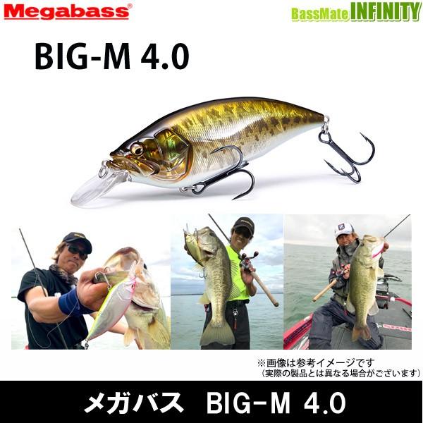 ●メガバス　BIG-M 4.0 【まとめ送料割】｜infinity-sw